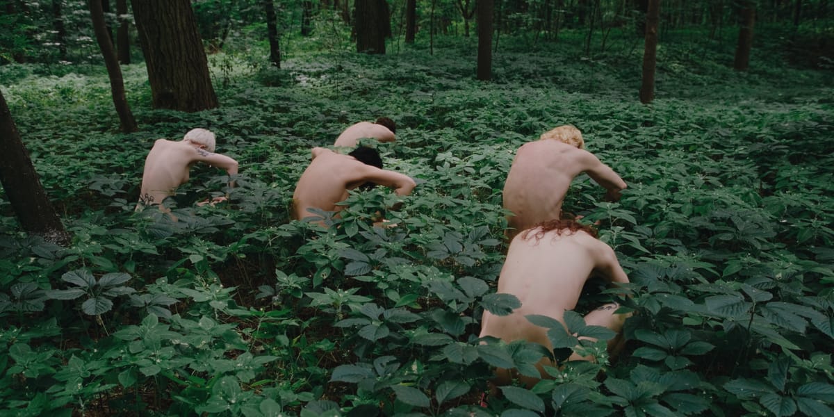 TO DANCE IS TO RESIST | BFI Flare 2026