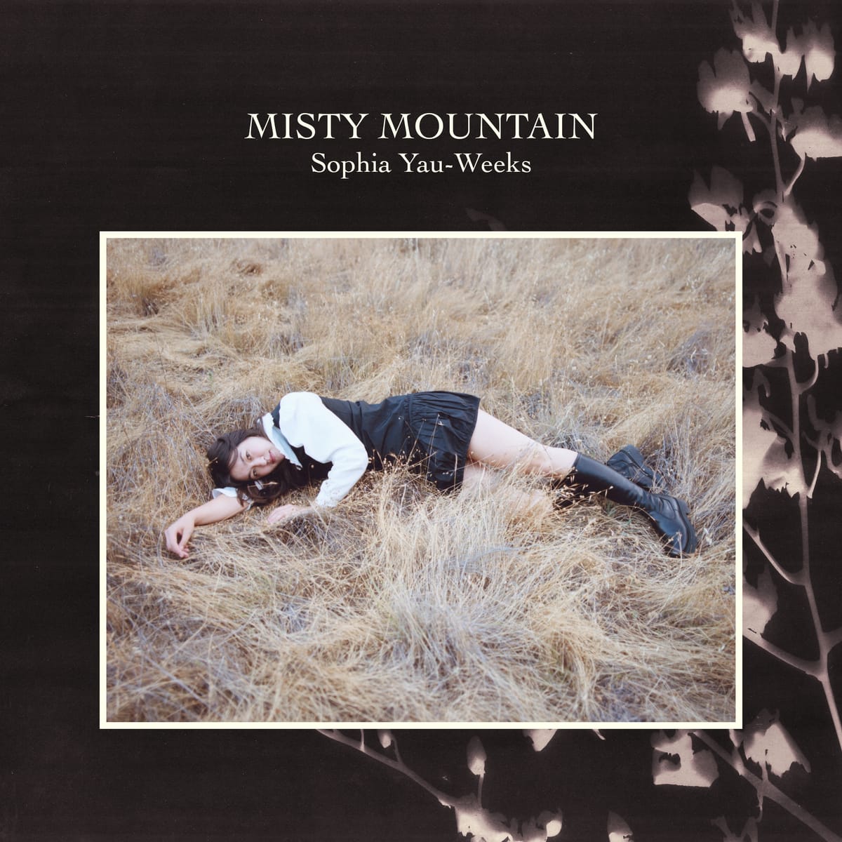 Misty Mountain - Sophia Yau-Weeks (Album Review)