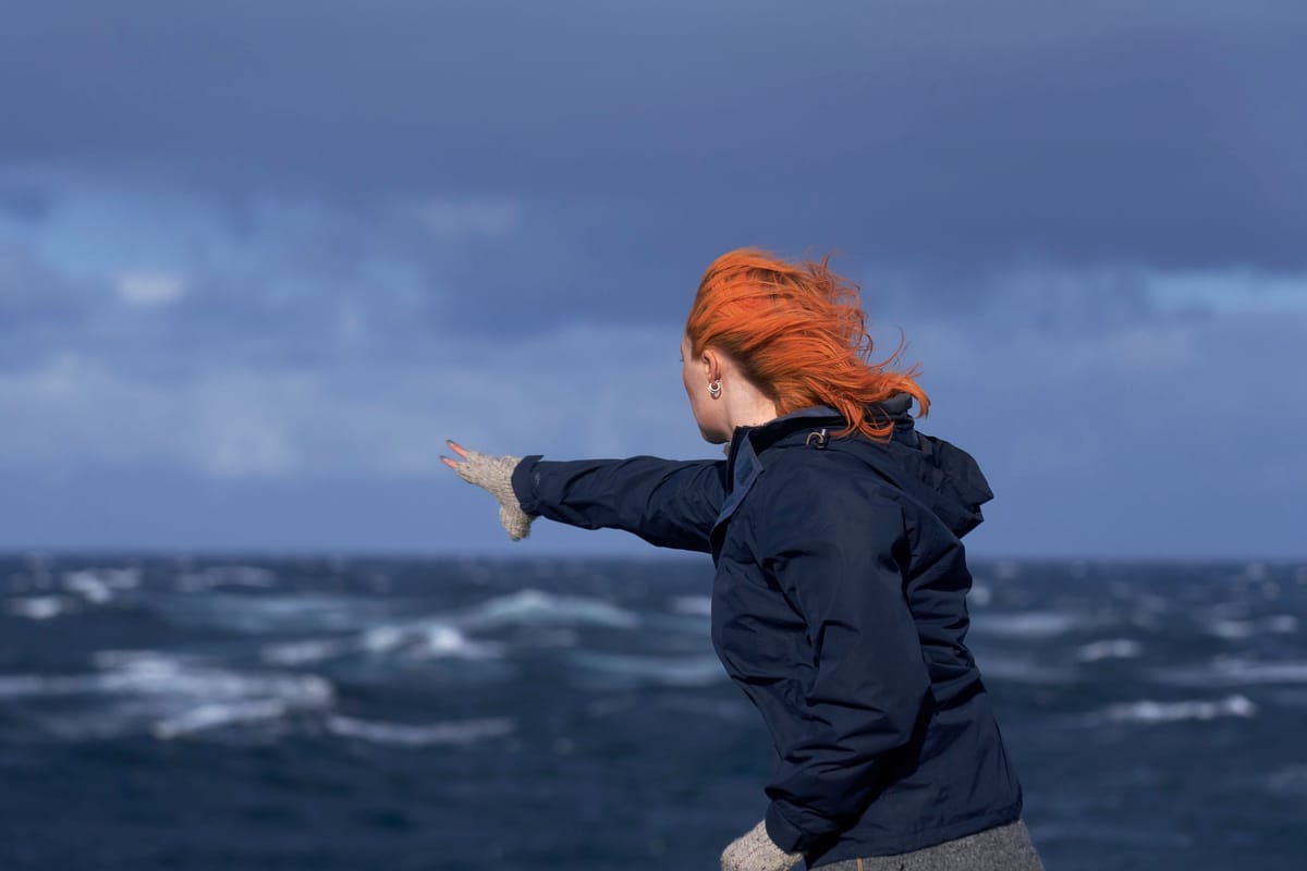 The Outrun: Is your fate ‘Seal-d’?