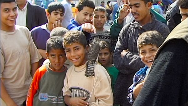 With Hasan in Gaza | TIFF50