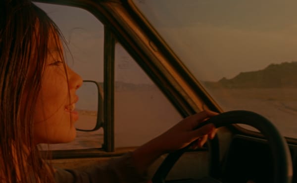 Mare's Nest | TIFF50